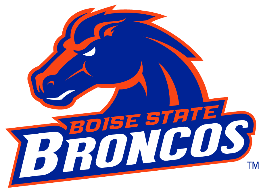 Boise State Broncos 2002-2012 Secondary Logo v10 diy iron on heat transfer